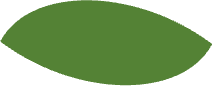 A medium green leaf, connecting this list to all of the medium green leaves in the tree diagram.