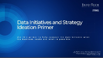 Sample of the 'Data Initiatives & Strategy Ideation for Banking Primer' deliverable.