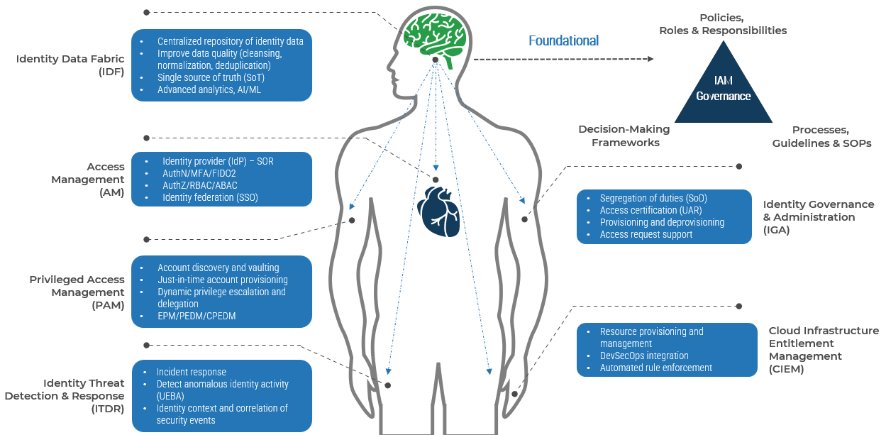 An image of the anatomy of an IAM program, comparing points of the program to locations on the human body